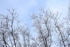 Neve a Reggio Emilia