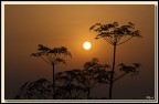 Scattata dove vivo nel piacentino sulle montagne quado l'ho rivista mi ha dato l'impressione d'averla scattata in Africa