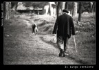 ...quello della vita. Meglio se accompagnati da qualcuno. Concorso fotografico nazionale indetto dalla comunit di Sant'egidio ed.2005 "I vecchi senza amore muoiono" sez. b/w e grandi opere. Scansione da negativo - [Roma - Pineta Sacchetti fine anni settanta - oggi parco urbano del Pineto]