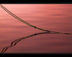Immersione... Immersione...