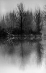 Scorre lento il fiume