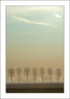 Acquerello mattutino