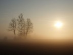 l'alba