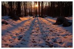 In inverno quando il sole  cos basso all'orizzonte bisogna affrettare il cammino per non essere sorpresi dalla notte.....
Ivo