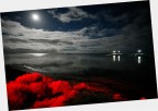 Kangaroo Island