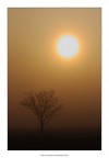 Nebbia al mattino