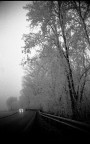 scorcio invernale, yashica FX3, vivtar 28/105 kodak Tmax 400