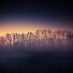 Serata nebbiosa sul fiume