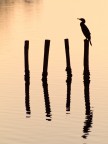 Sunset Relax