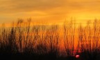 Tramonto
