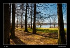 PRIMA DEL LAGO