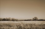 Baraggia - 5