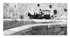 In carrozza