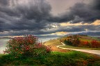 quando si alza la nebbia in autunno