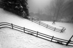 Questa foto fa parte di un set di due foto inviate per il contest M9 di stevehuffphoto