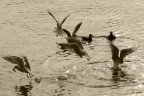 lezione di danza