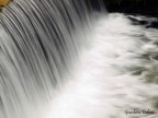 acqua