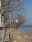 vi invio i dati della foto 
f 3/7  1/1600 sec  iso 100 
mano libera  fotocamera fuji 9600