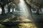 luce soffusa