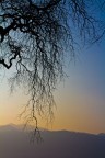 Silouette