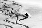 freerider