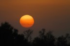 TRAMONTO CAMARGUESE