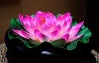 Colore d0 oriente.