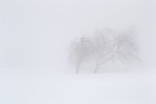 nella nebbia in monatgna durante una gita di scialpinismo