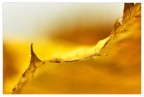 Particolare