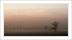 Avvicinamento all'alba