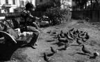 Un pranzo  per due