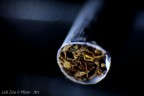 Prova di macro fatta sulla scrivania di casa con l'obbiettivo al contrario, quindi senza controllo del diaframma per poter gestire la PdC.
Che ve ne pare???
