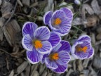 quasi primavera :-)