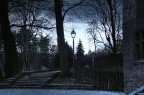 Surreale