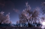 Il flare in ir