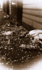 [Genova] Carnevale...oltre i colori, dietro le maschere...
