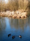 parco delle cave