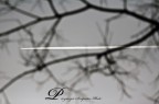 La Verit  Luce