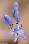 Consigli ben accetti, ciao

www.spangshot.it

[url=http://www.spangshot.it/incoming/Scilla1200.jpg][b]Clicca qui per la versione ad alta risoluzione![/b][/url]
