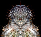 Spine e pelo@2011. Spine e pelo@2011.