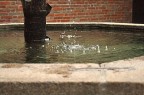 Fontana del melograno - Borgo medioevale -TO