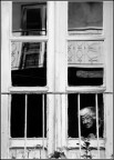 Aspettando il buio