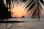 Maldive, atollo Rannalhi, Marzo 2011