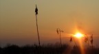 Tramonto