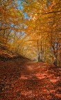 Autunno