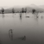 Campagne allagate