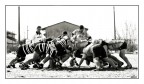 Rugby  - mischia