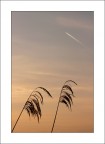 Spring promises