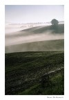 Nebbia