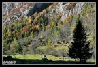 Autunno e ombra
